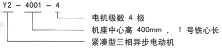 YR系列(H355-1000)高压JR138-8三相异步电机西安西玛电机型号说明